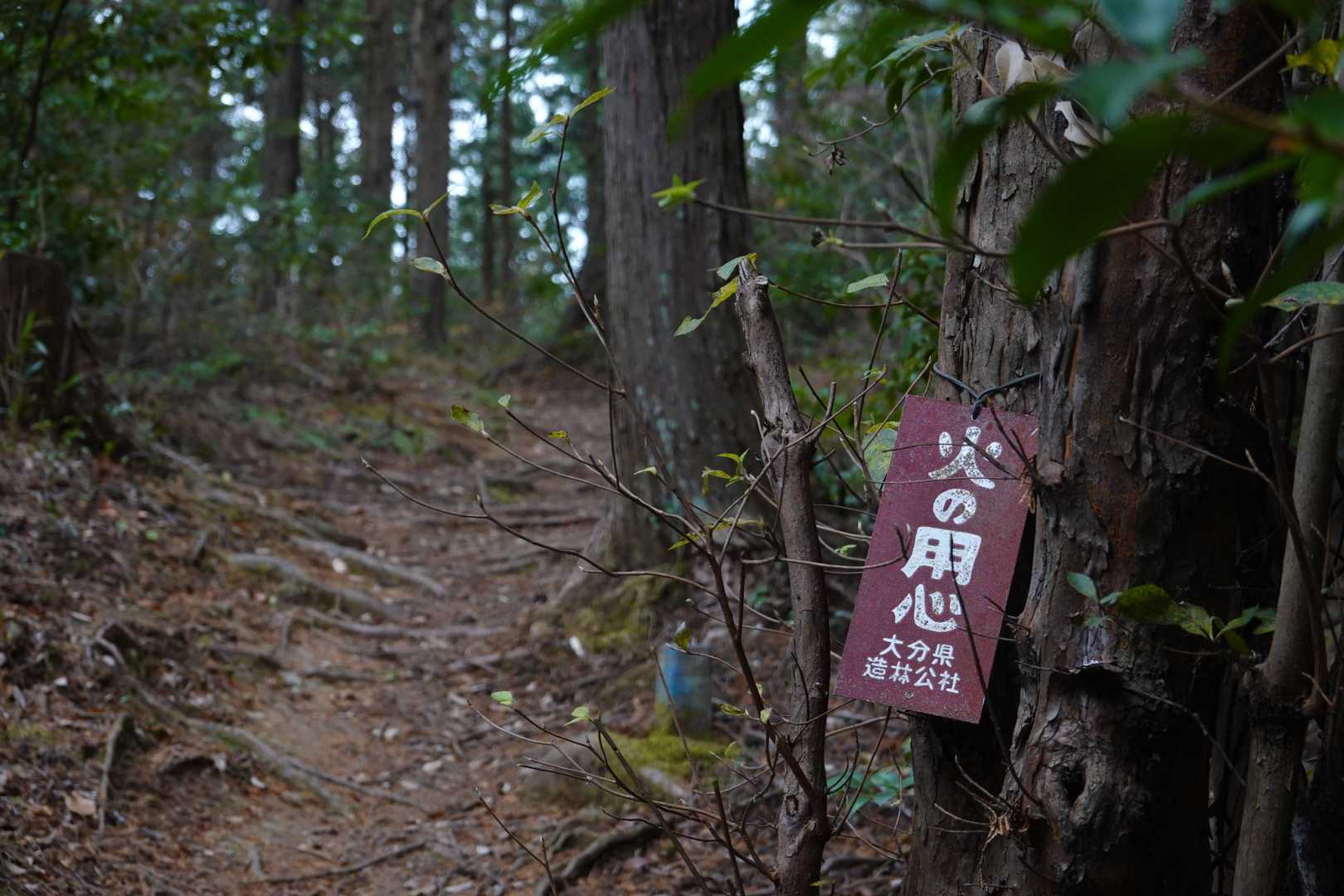 天気は微妙だけど意外と今日はハイカーいました👀