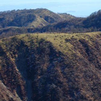 奥が丹沢山