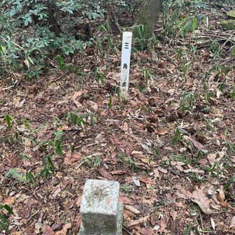 ちゃんと三角点あり
山頂登録ならんかなぁ🤔