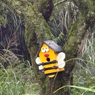 🐝鳥の巣箱😆