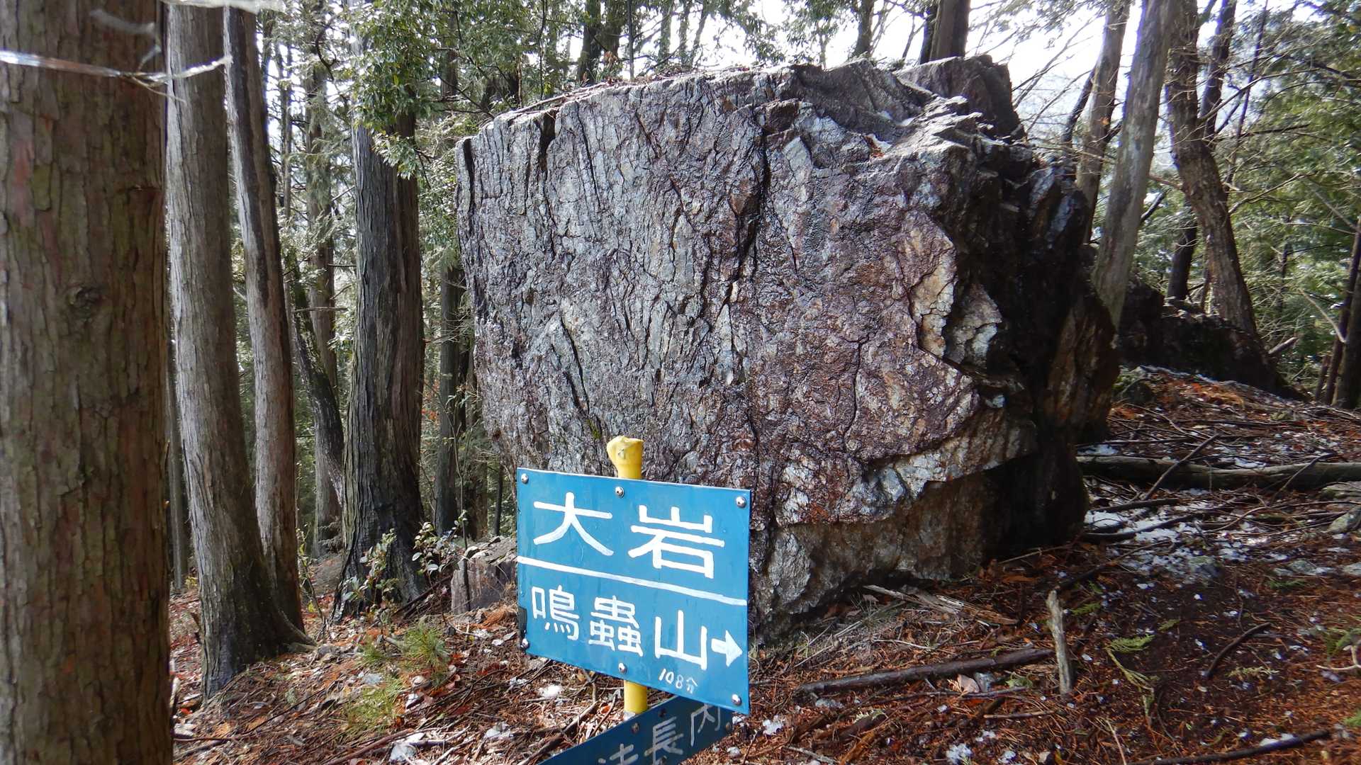 📷　大岩、って言うほど大きくないような😅