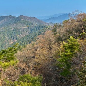 これから向かう東ノ山が見えます。