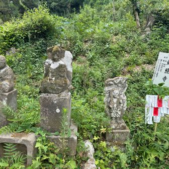 第七十八番　仏光山郷照寺