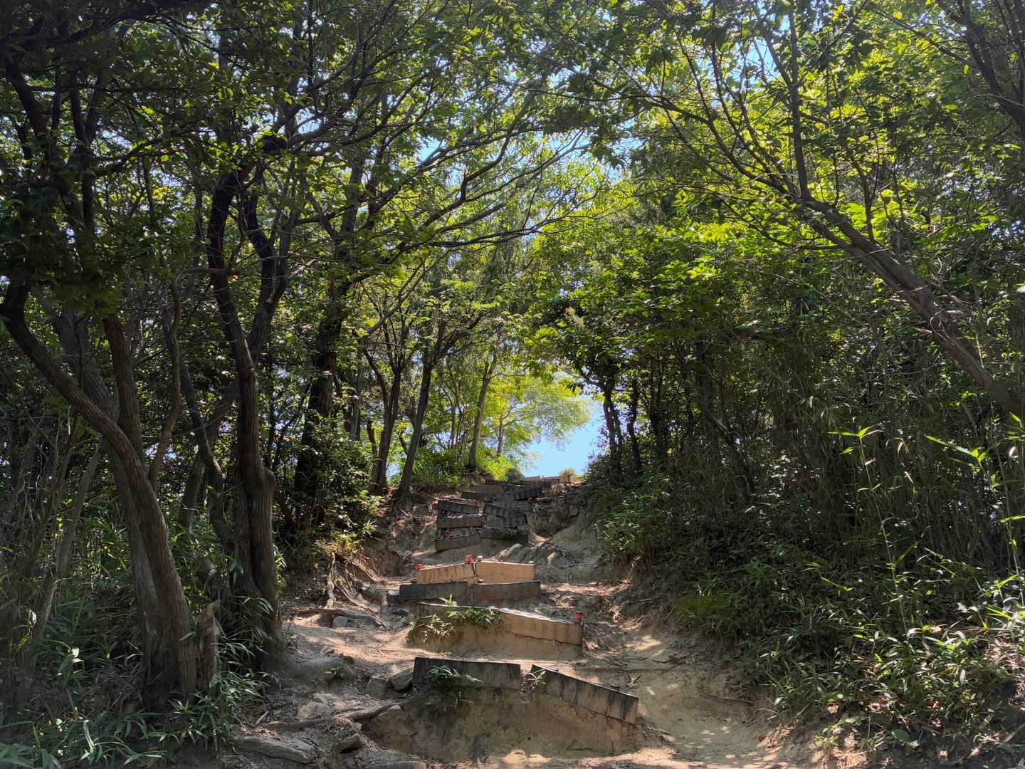龍王宮に戻ってきたよ！広場前の階段のこの景色が好きです💓