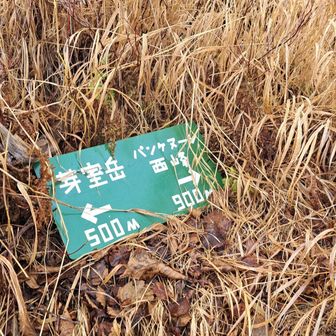 やっとやっと分岐
ここからの500mが長く感じた〜