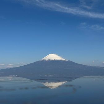 やってみたかった