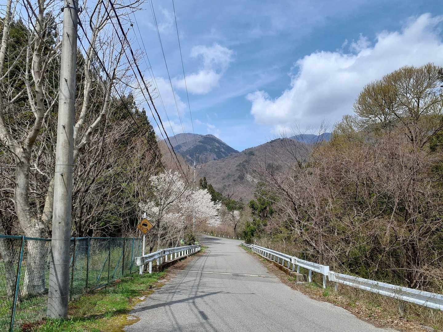 方向的に奧が小佐飛山で、右手前が鴨内山⛰️