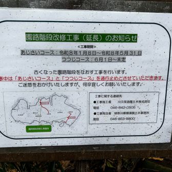 2026年5月まであじさいコースは通行不可です。6月からはツツジコースが通行不可となるそうです。