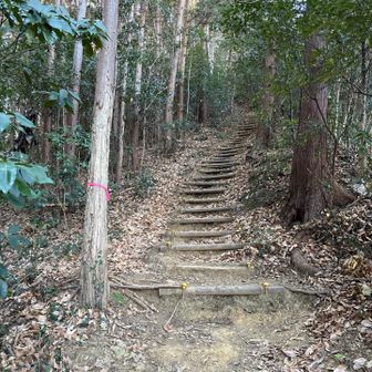 今日も体を動かすことが出来ることに感謝しつつ、ゆっくりと一歩一歩噛み締めながら歩く。
