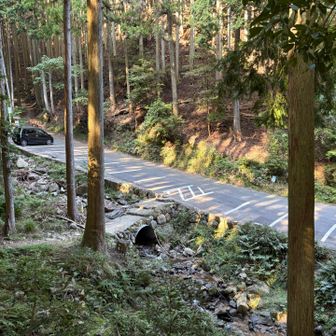 東峰から40分で駐車場まで下ってきました
満車だった駐車場もこの時間はガラガラ🈳
久しぶりにしっかり歩いて、新しい山３つも取れたし大満足😊
これで597座
次で600行けるかな🤔