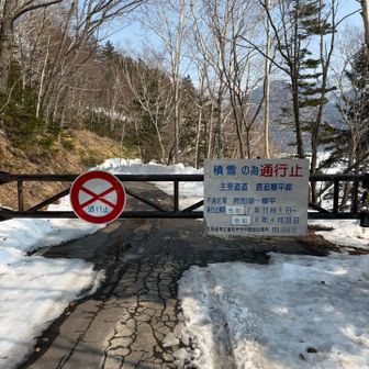 やっと道路歩き終わった🙌