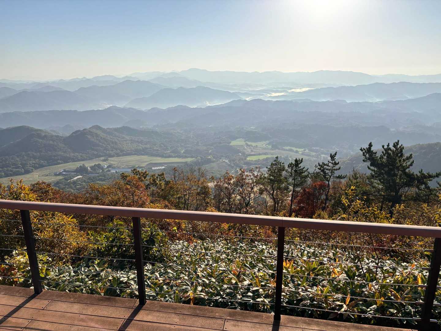 東の原登山口-三瓶観光リフト 山頂-大平山 往復コースの写真