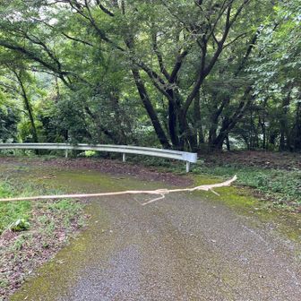 道なりに左に行ってもリルートできますが、本道は右折です。