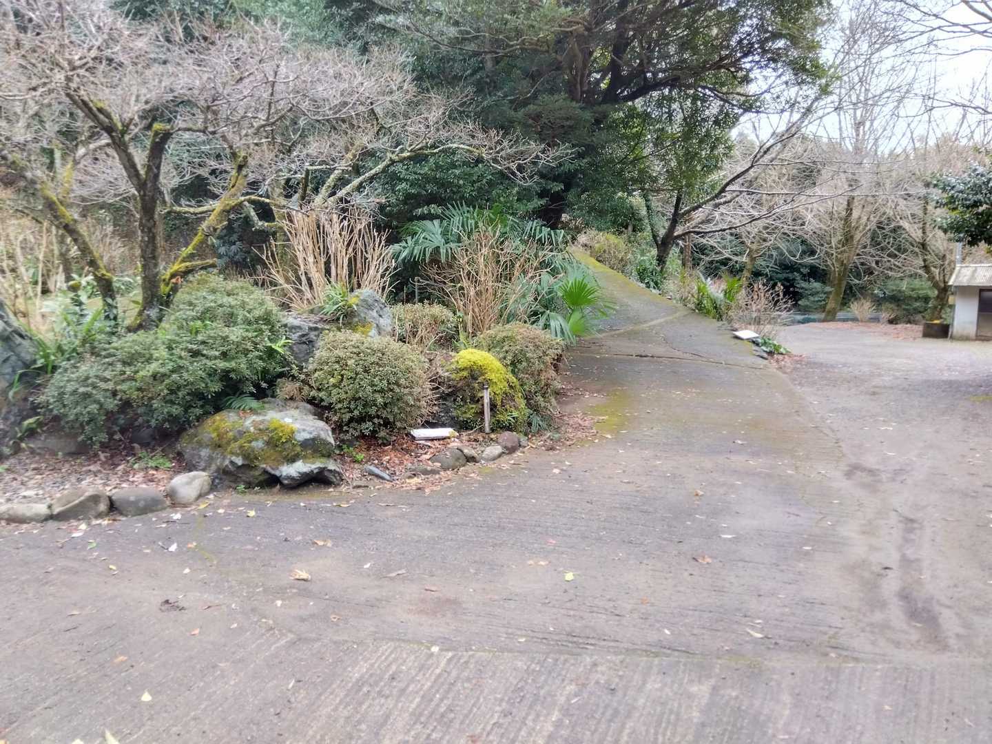 トイレ前です。右側に車停める場所がありました。
