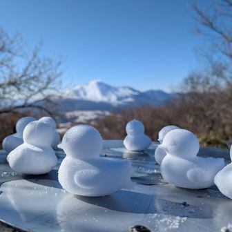 仲間がひよこをたくさん作ってくれました🐤🐤🐤✨🤗