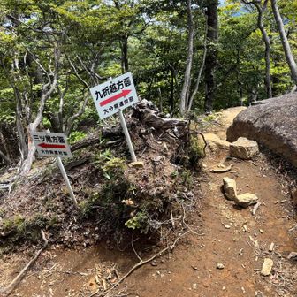 山頂で早めのお昼を食べてから
九折越方面へ向かう