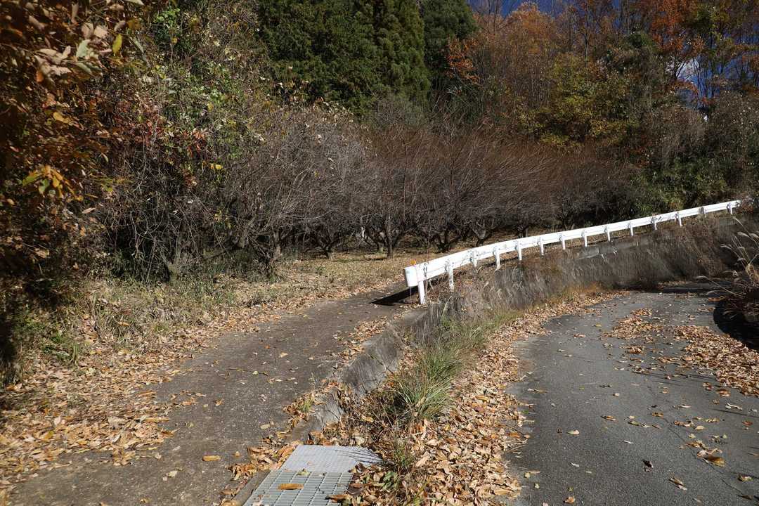 グレーチングを越えて左を進んでいく