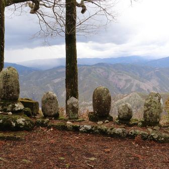 たくさん並んでいます