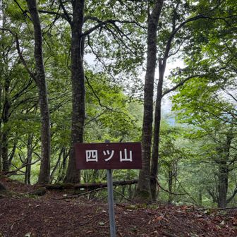 四ツ山🪧