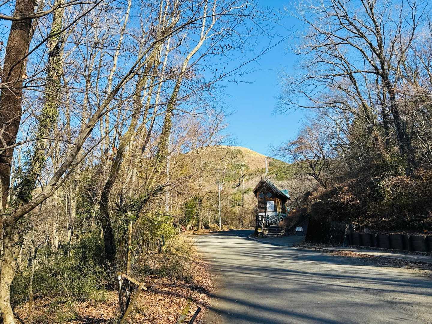 前に見えてるのが大野山
(*’ー’)ﾀﾞﾖ