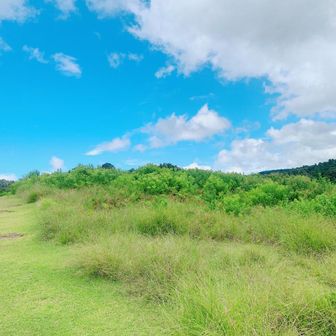 とらち