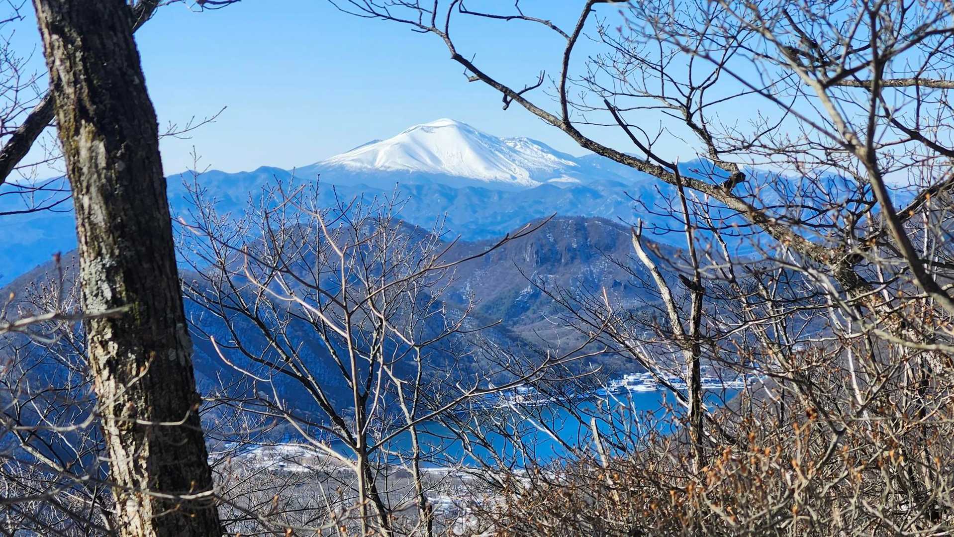 素敵です