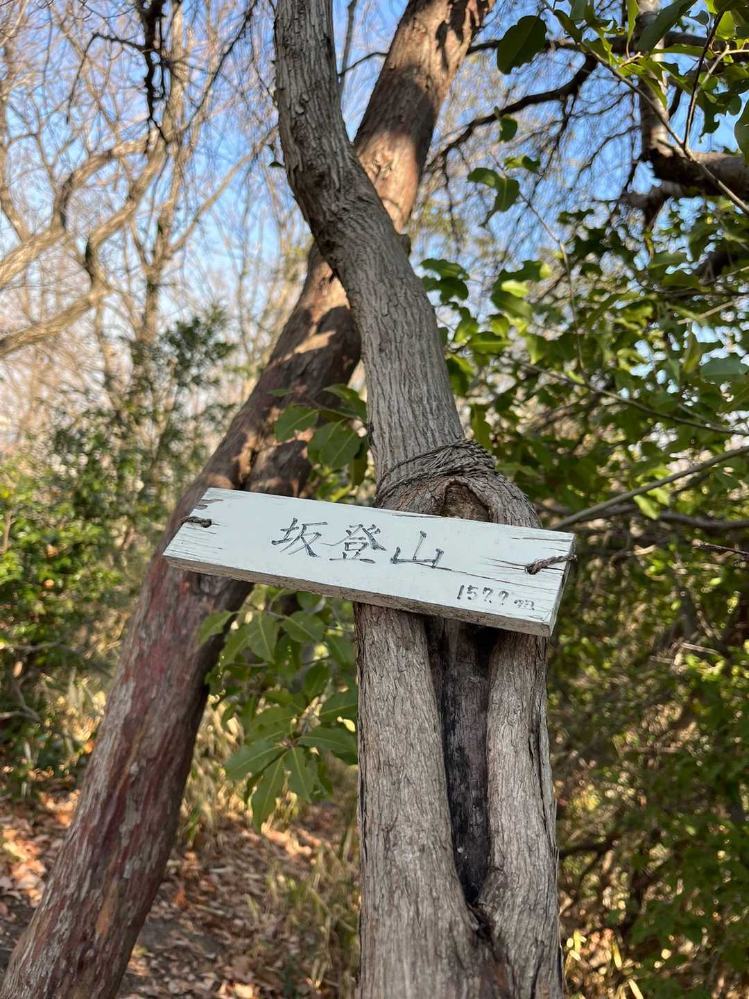 2ピーク🚩坂登山。　この辺りでソロ男性ハイカーさんもお見かけしました。