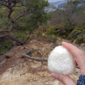 眺望いいとこでお昼ごはん🍙
最近は安定の節約おにぎり😅