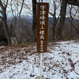 頂上は見晴らしも良いけど、その分寒くて、他にも登山者の方がおられましたので、無線機を設置して交信するのは諦めました。
