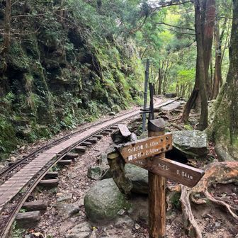 トロッコ道に出ました
