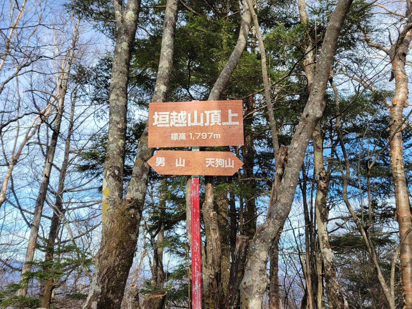 馬越峠-天狗山-垣越山-男山 往復コースの写真
