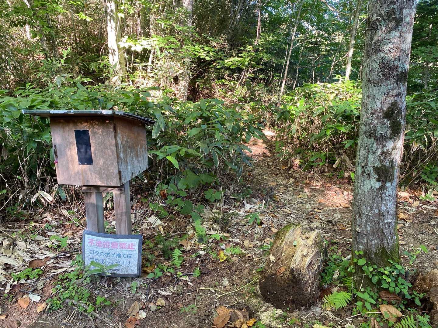 登山届書きました。この脇から駐車場へ短縮路として草刈がしてある😤