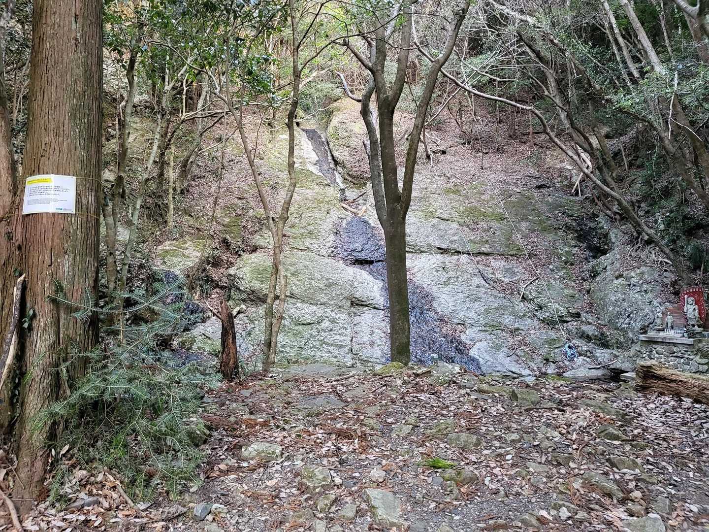 白嶽 往復コースの写真