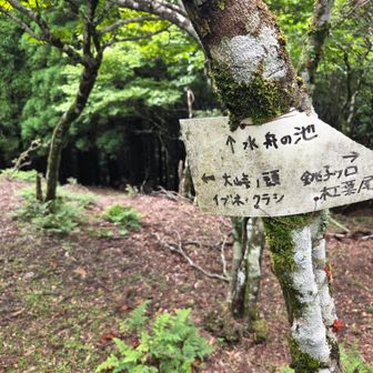 分岐
水舟の池から急登でした。