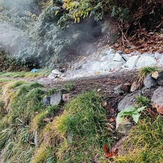 硫黄の成分が