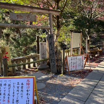 チャレンジしてみたよ　
ぜんぜん届きませんでした🤣