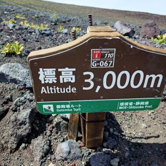 今回、スタート地点の標高が低いのでどうかと思ったけど、意外とあっさりと3000mまで登れた気がした