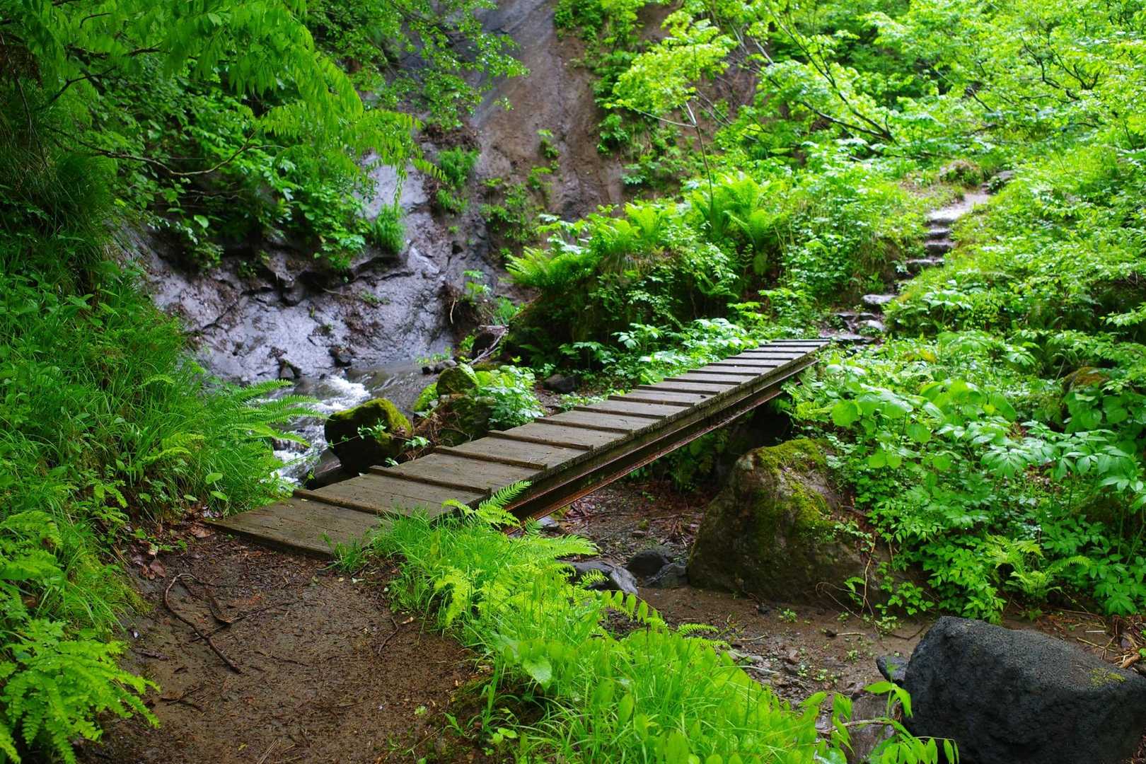 花立コース登山口-鋸山 往復コースの写真
