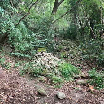 石に埋もれた祠