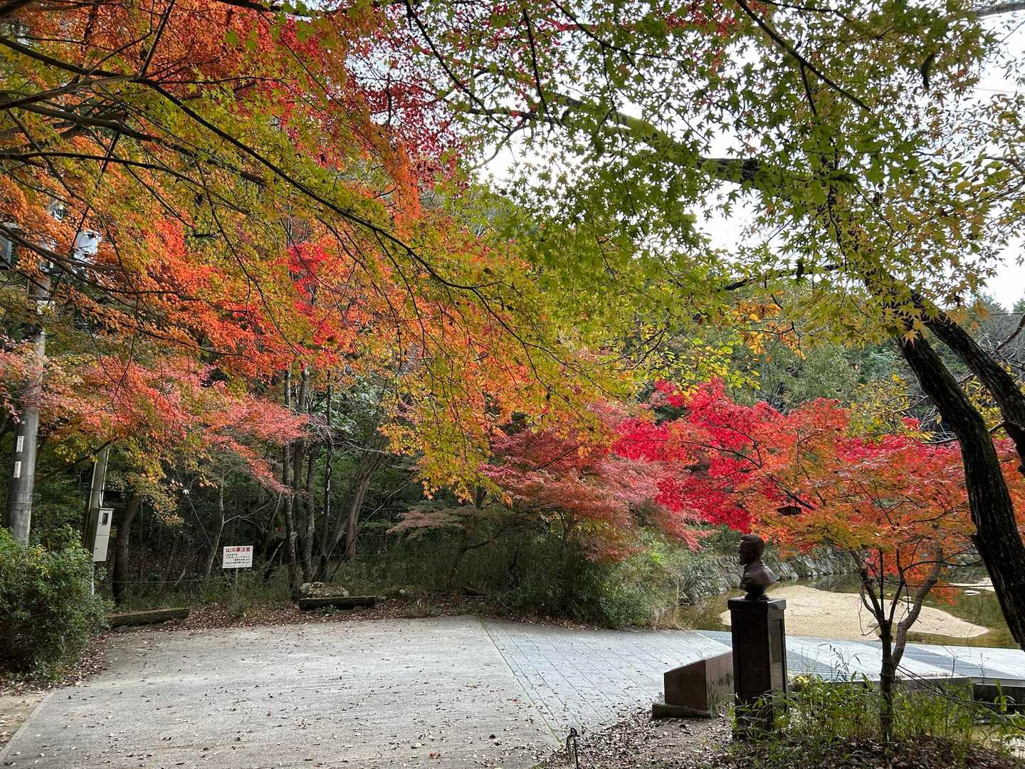 上桐生登山口-鶏冠山 往復コースの写真