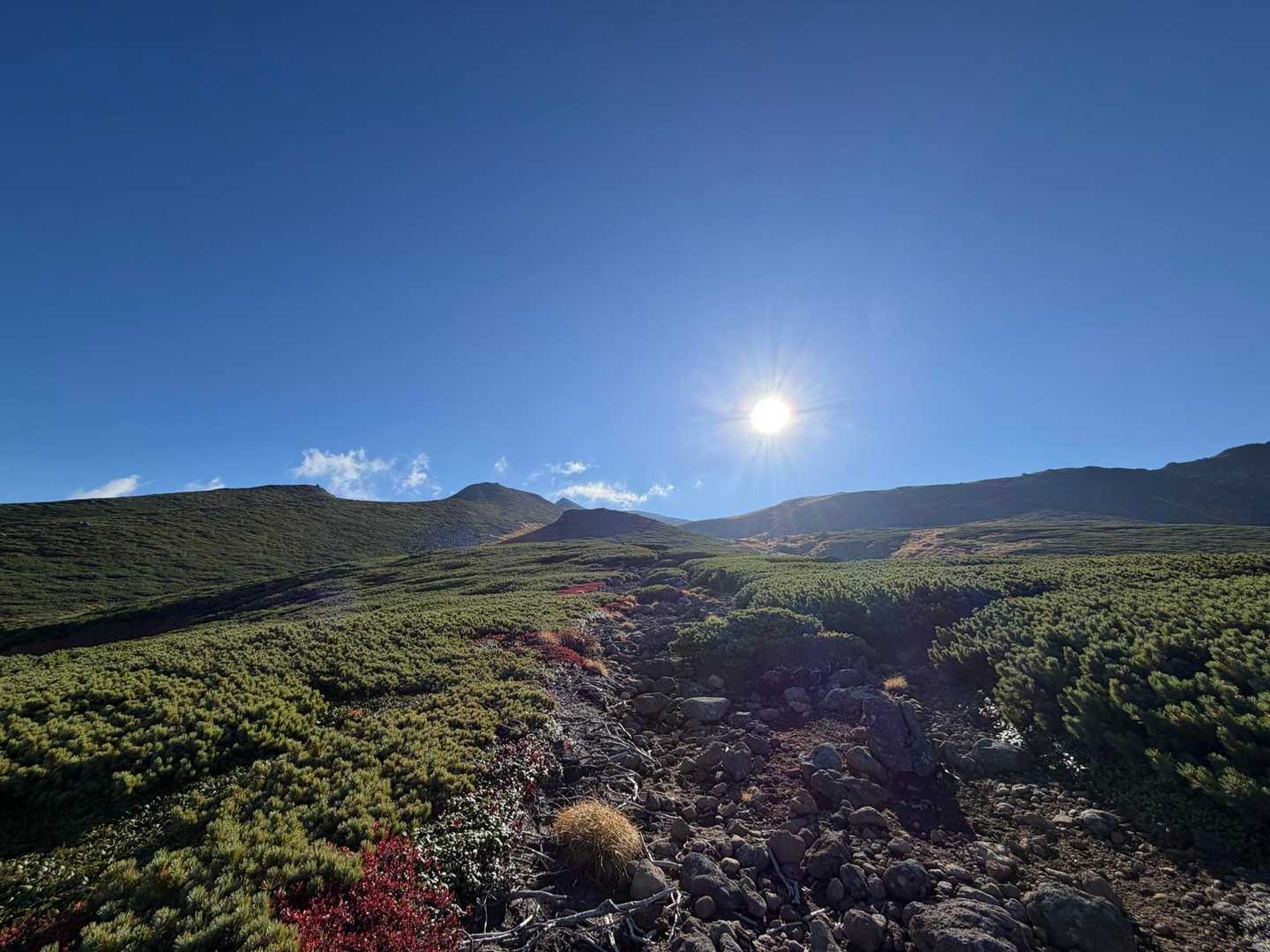 太陽上がってきて🌞