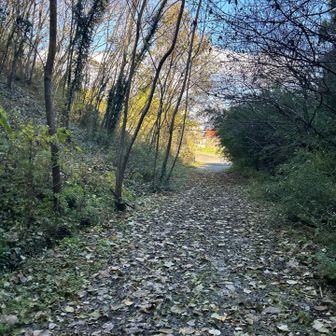 車を置いた所へ戻りました。思った以上に急坂でしたが、今日のランチ🍕に向けて、丁度よい腹ごなしになりました👌
