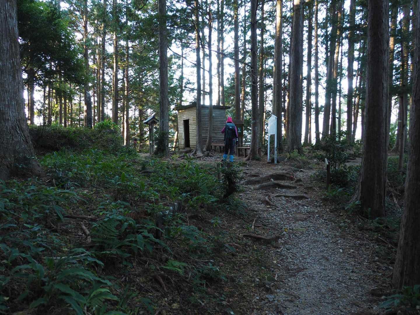 馬越峠まで登ってきました