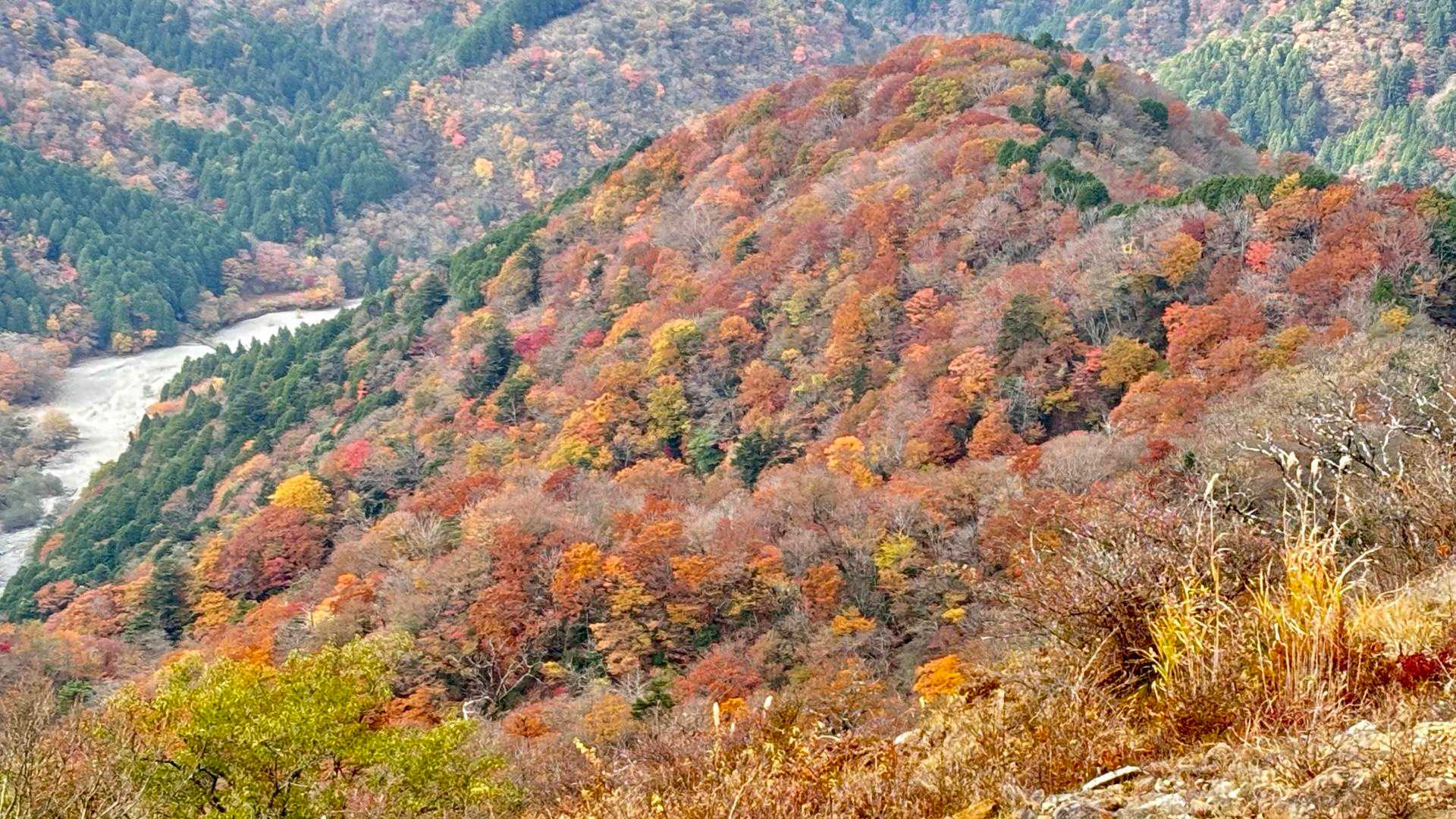 お天気が良ければもっと鮮やかなんだろうね。