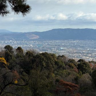 電波塔から奈良盆地、正面若草山