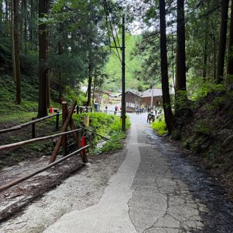 無事下山できました😆
クマが出ない山と聞いていたのですが
山の中で黒いものに反応してしまうことが多々あり
足早になってしまいました🤭