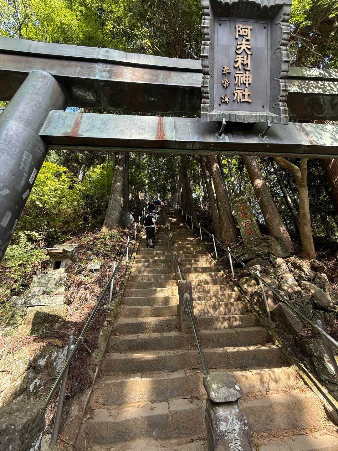 大山 / たんまちこの登山データ | YAMAP / ヤマップ