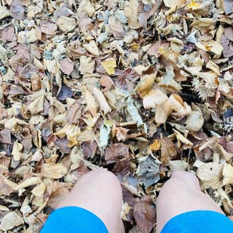 紅葉後の落ち葉の量🍂🍁多すぎ
登山道滑るし、穴にハマるし