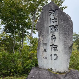 酒と釣りを愛した文豪。
この辺りの渓流に棲むオオイワナにも、魅了されたそうです。
紅葉がとても美しいエリアみたいですね🍁