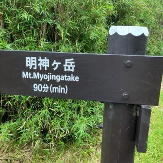 横にうっすら「あと90分ってなってるけど
200分だった」って書いてあった💦
お疲れ様です🍵


